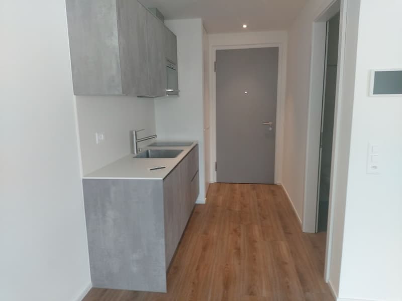 Studio in Visp (1)