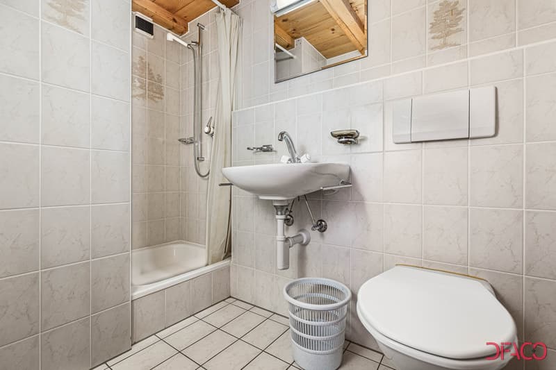 Tiled bathroom with a shower, sink, and toilet. The bathroom has a wooden ceiling and a mirror above the sink. There is a washing machine visible in the corner.