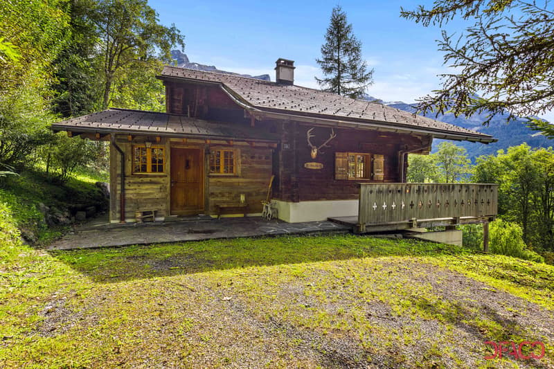 Chalet "Michachou" - Location à la semaine (1)