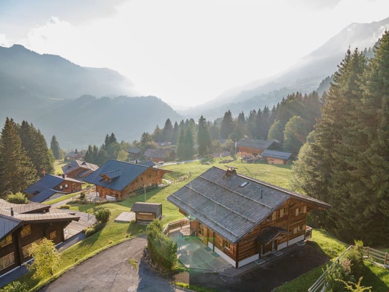 Scenic mountain village with traditional wooden chalets, surrounded by lush green hills and forests. The buildings have slanted roofs and balconies, creating a picturesque alpine setting.