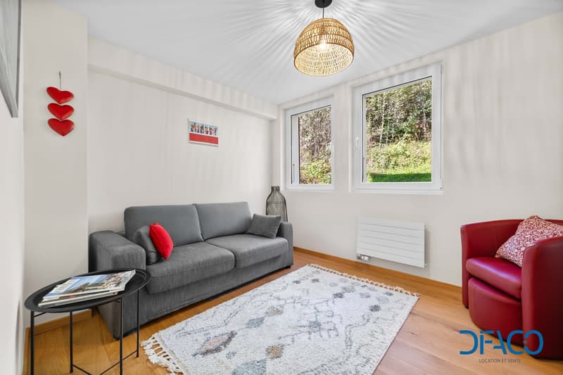 white wall, gray sofa, red armchair, carpet, side table with magazines, two large windows, radiator