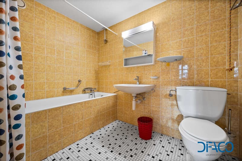 Salle de bain et WC