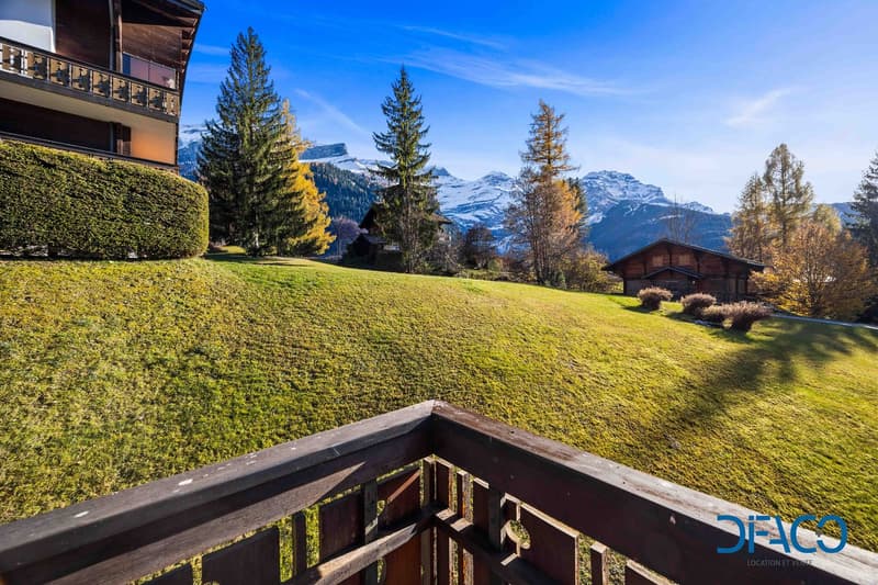Vue depuis le balcon