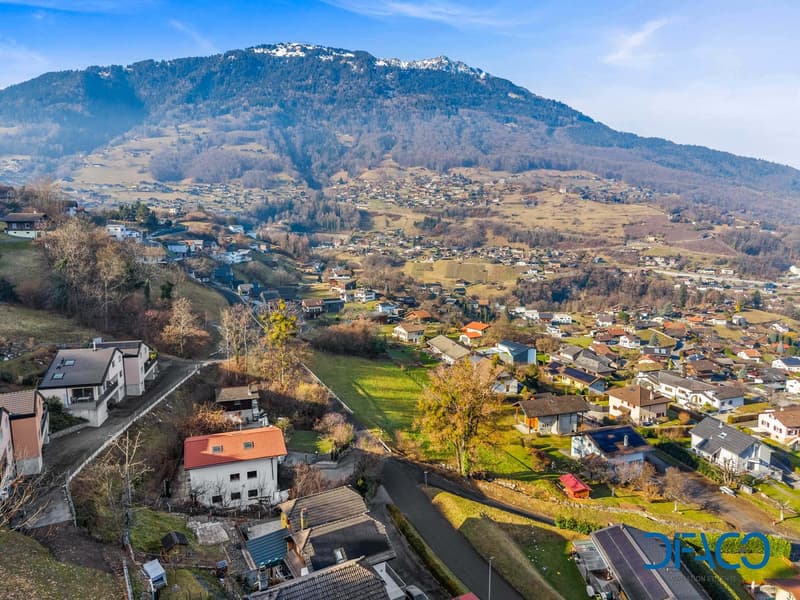 Aerial view of a village in the countryside with several houses and a mountain range in the background.