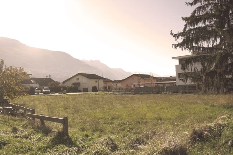 Houses in the background, large lawn area, streetlight