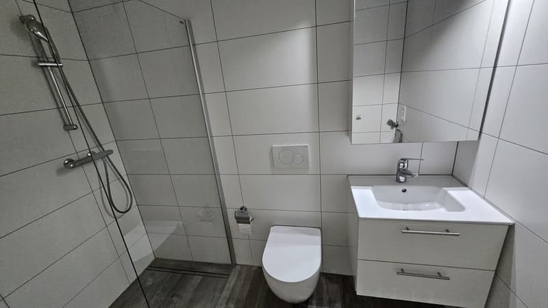 Studio moderne à Mont-Vully, disponible immédiatement (5)