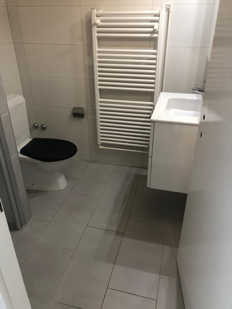 Charmant studio de 1.5 pièces avec vue lac à Neuchâtel (8)