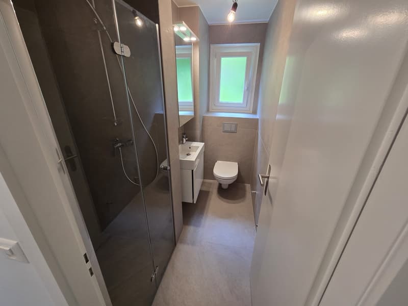 Appartement 4.5 pièces avec vue sur le lac à Neuchâtel (7)