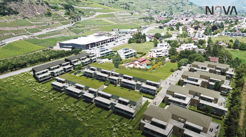 Group of terraced houses, modern design, large open spaces, green roofs, surrounded by greenery