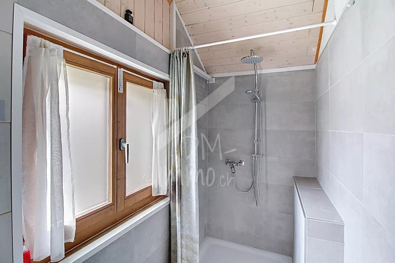 Petite maison rénovée - Choex proche centre (6)