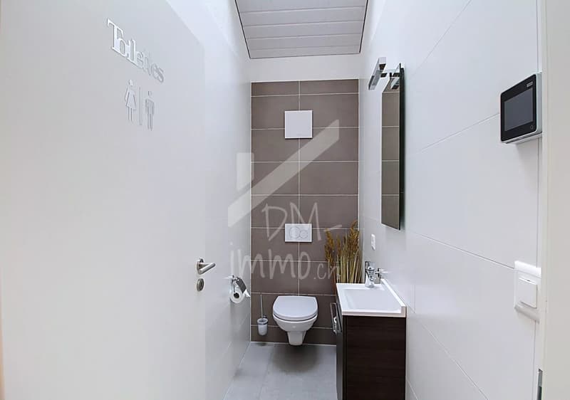 Magnifique attique 3.5p + mezzanine (7)