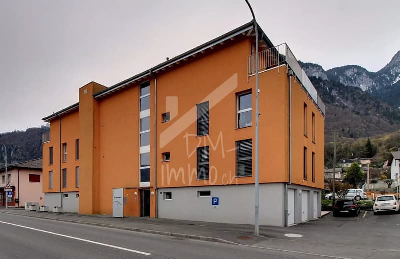 Magnifique attique 3.5p + mezzanine (10)