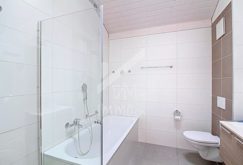 Magnifique attique 3.5p + mezzanine (6)