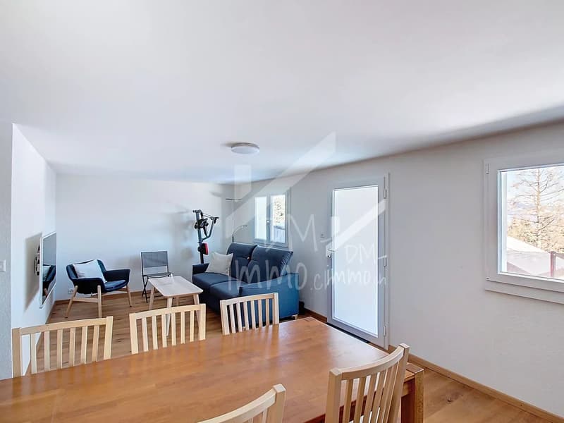 Appartement rez inférieur