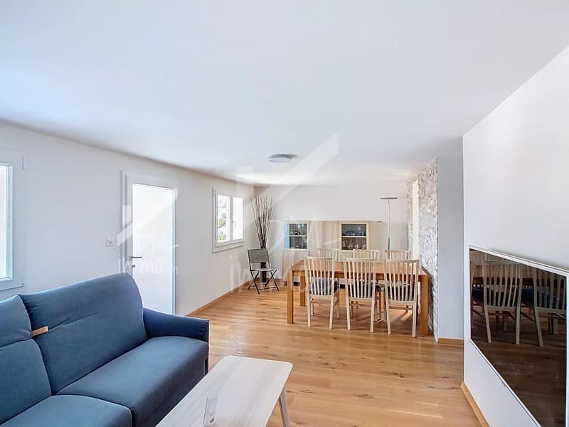 Appartement rez inférieur