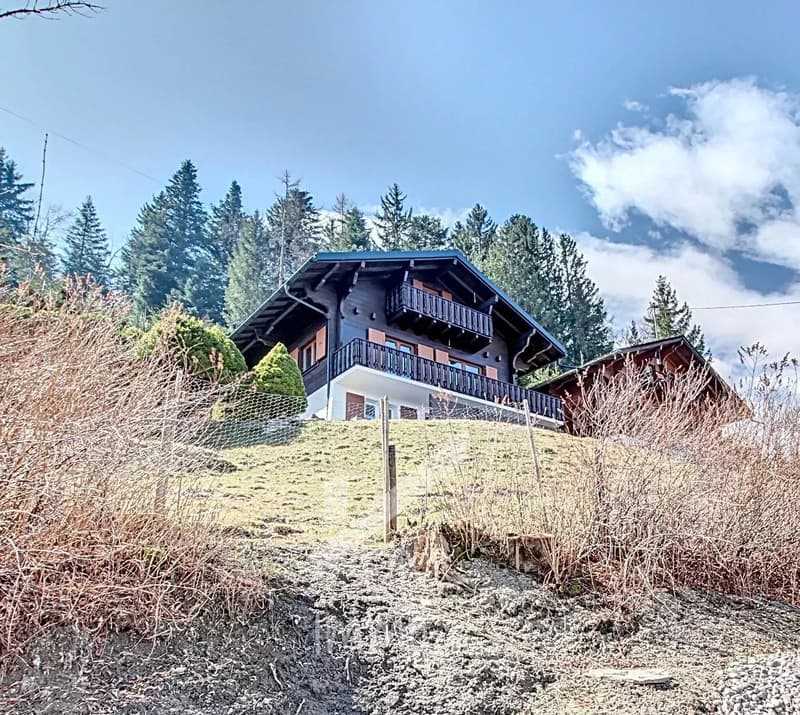 Magnifique chalet rénové avec studio - Vente aux étrangers possible (12)