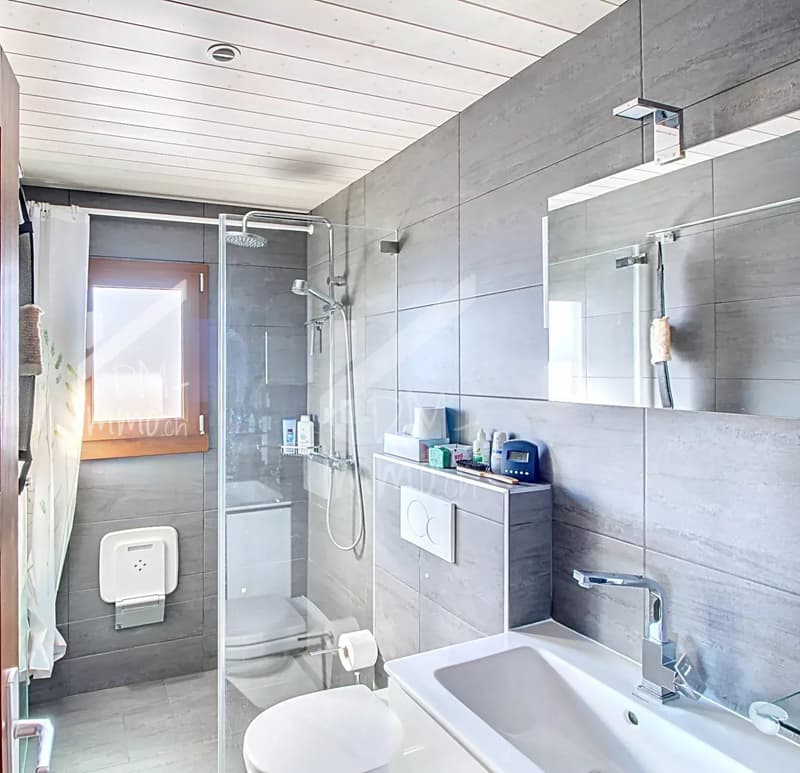 Appartement rez inférieur