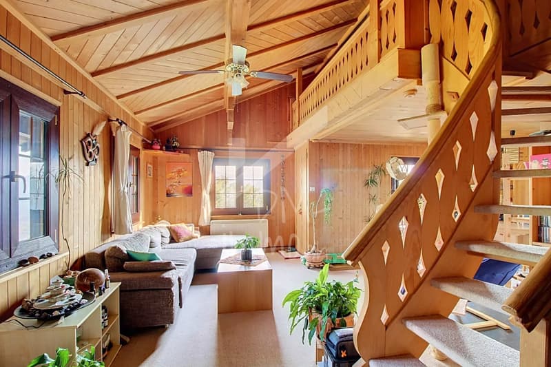 Chalet en madriers, vue lac Léman et montagnes - Vente aux étrangers OK (5)