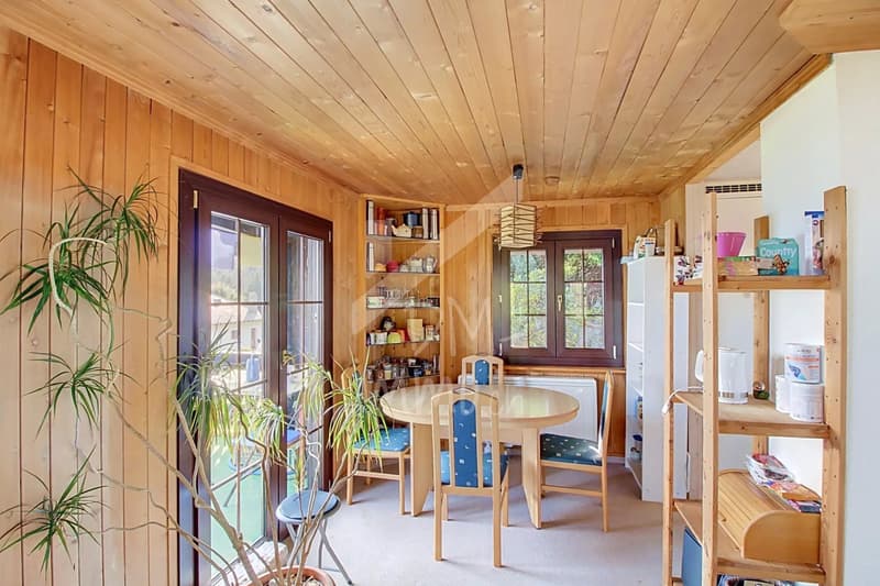 Chalet en madriers, vue lac Léman et montagnes - Vente aux étrangers OK (2)