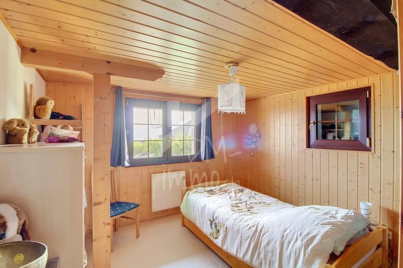 Chalet en madriers, vue lac Léman et montagnes - Vente aux étrangers OK (8)