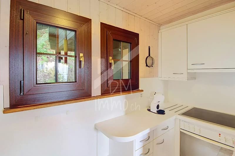 Chalet en madriers, vue lac Léman et montagnes - Vente aux étrangers OK (7)