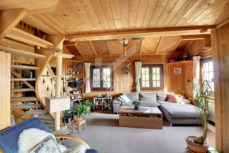 Chalet en madriers, vue lac Léman et montagnes - Vente aux étrangers OK (4)