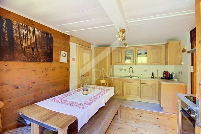 Un appartement plein de charme en peine nature (2)