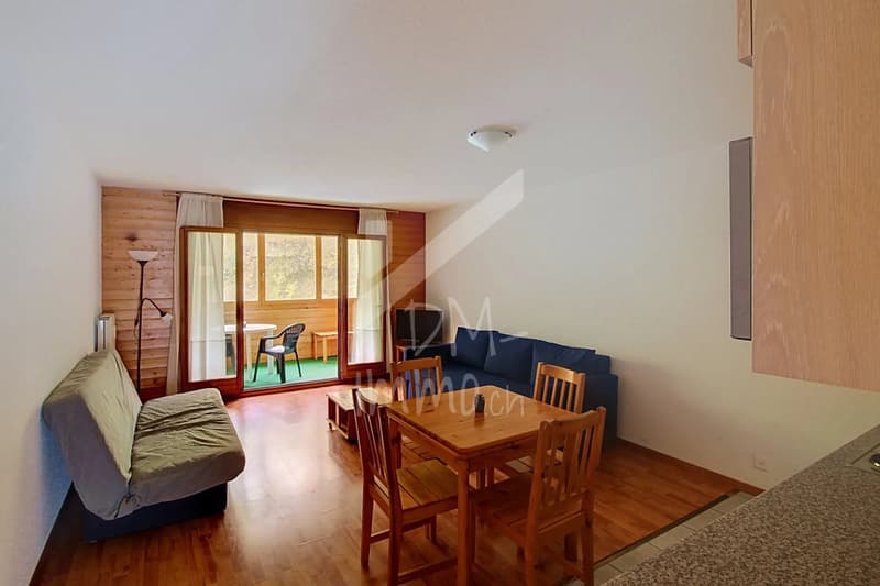 2.5 pièces traversant avec loggia et balcon (1)