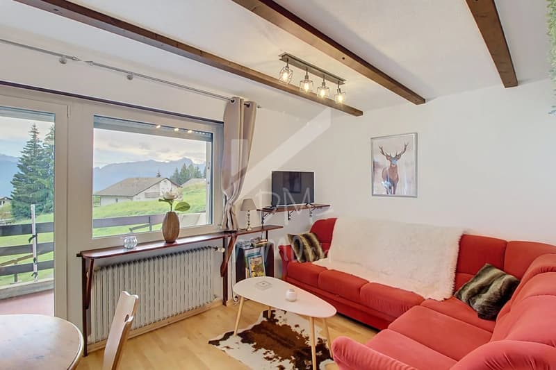 2.5 pièces traversant avec balcon - Panorama (1)