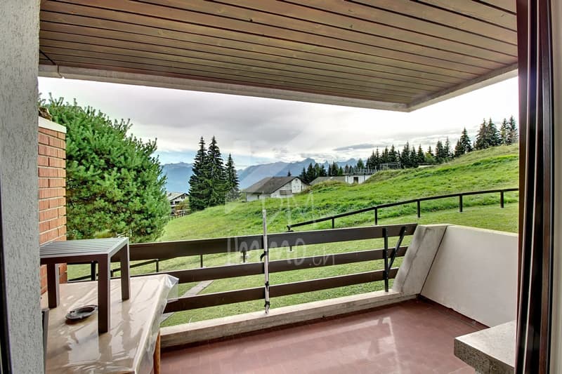 2.5 pièces traversant avec balcon - Panorama (6)