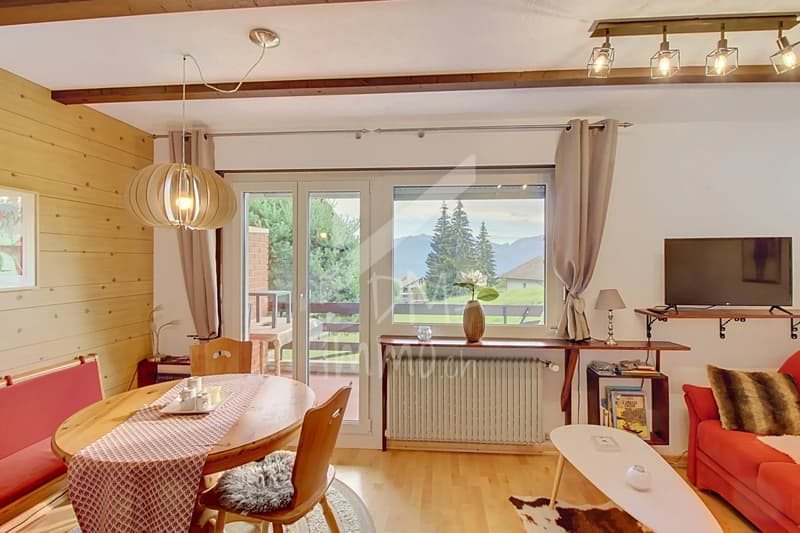 2.5 pièces traversant avec balcon - Panorama (2)