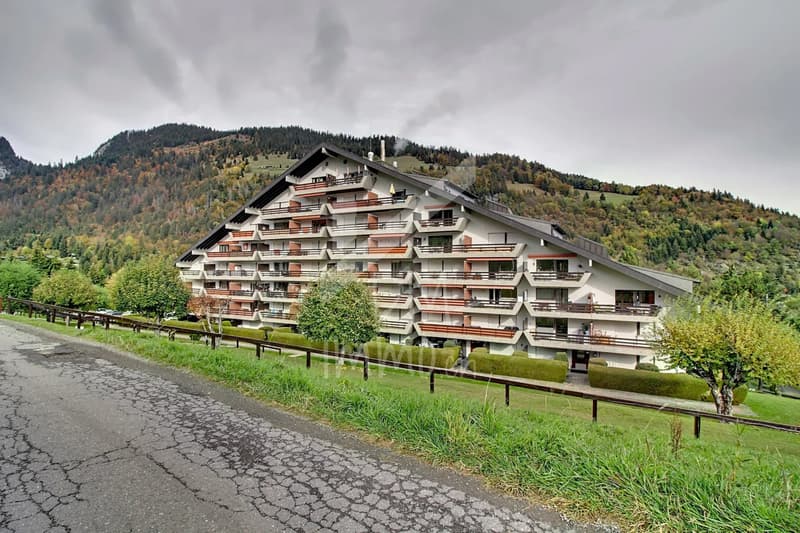 2.5 pièces traversant avec balcon - Panorama (7)