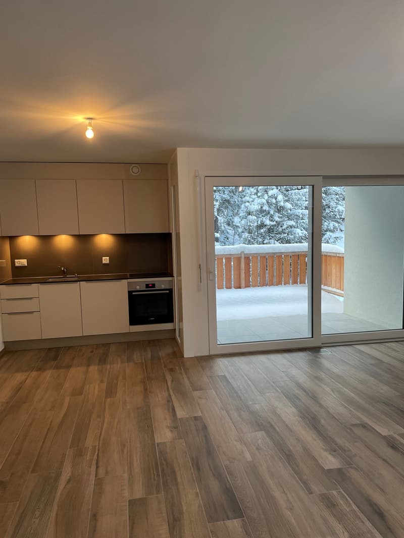 modern kitchen, white cabinetry, wooden floors, glass sliding door to balcony, overhead light
