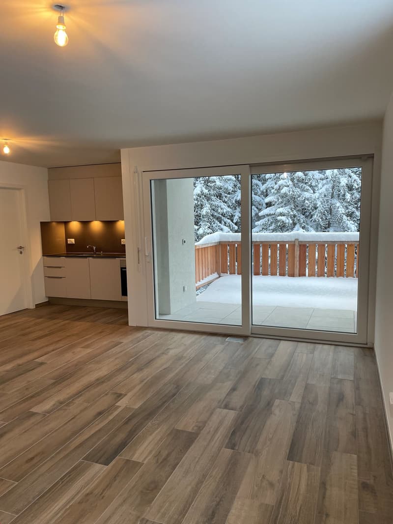 empty room with wooden floor, sliding door, open balcony, white kitchen, ceiling lamps