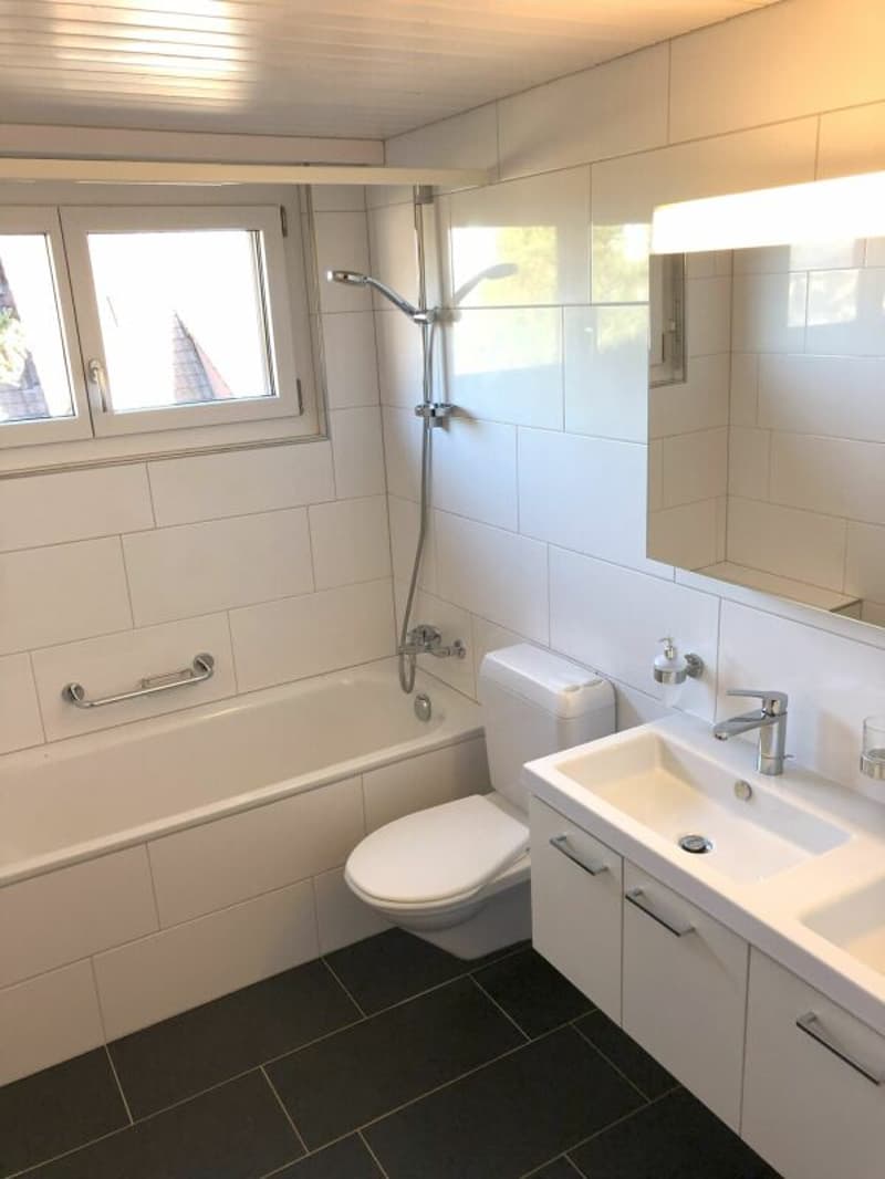 Your free month is waiting!! Dreamy 4.5 room apartment with a view (5)