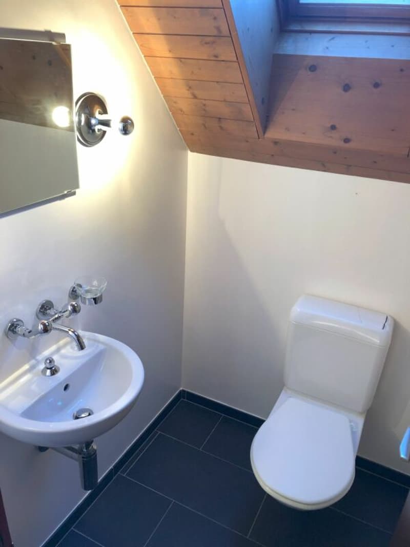 Your free month is waiting!! Dreamy 4.5 room apartment with a view (6)