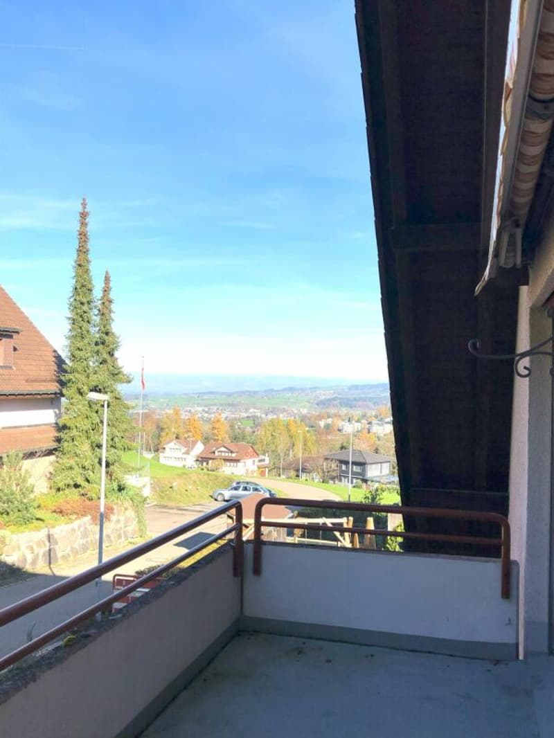 Your free month is waiting!! Dreamy 4.5 room apartment with a view (4)