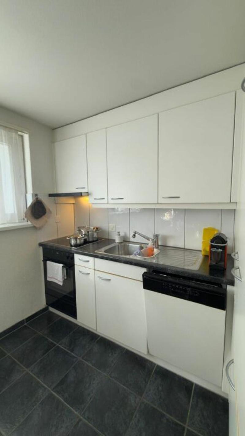 Beautiful 4.5 room apartment (6)