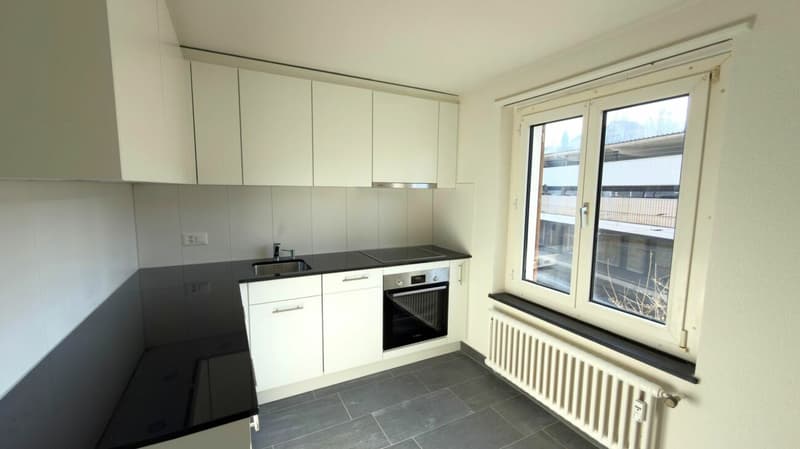 4.5 rooms core renovated (3)