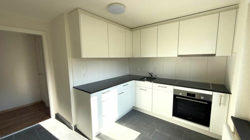4.5 rooms core renovated (2)