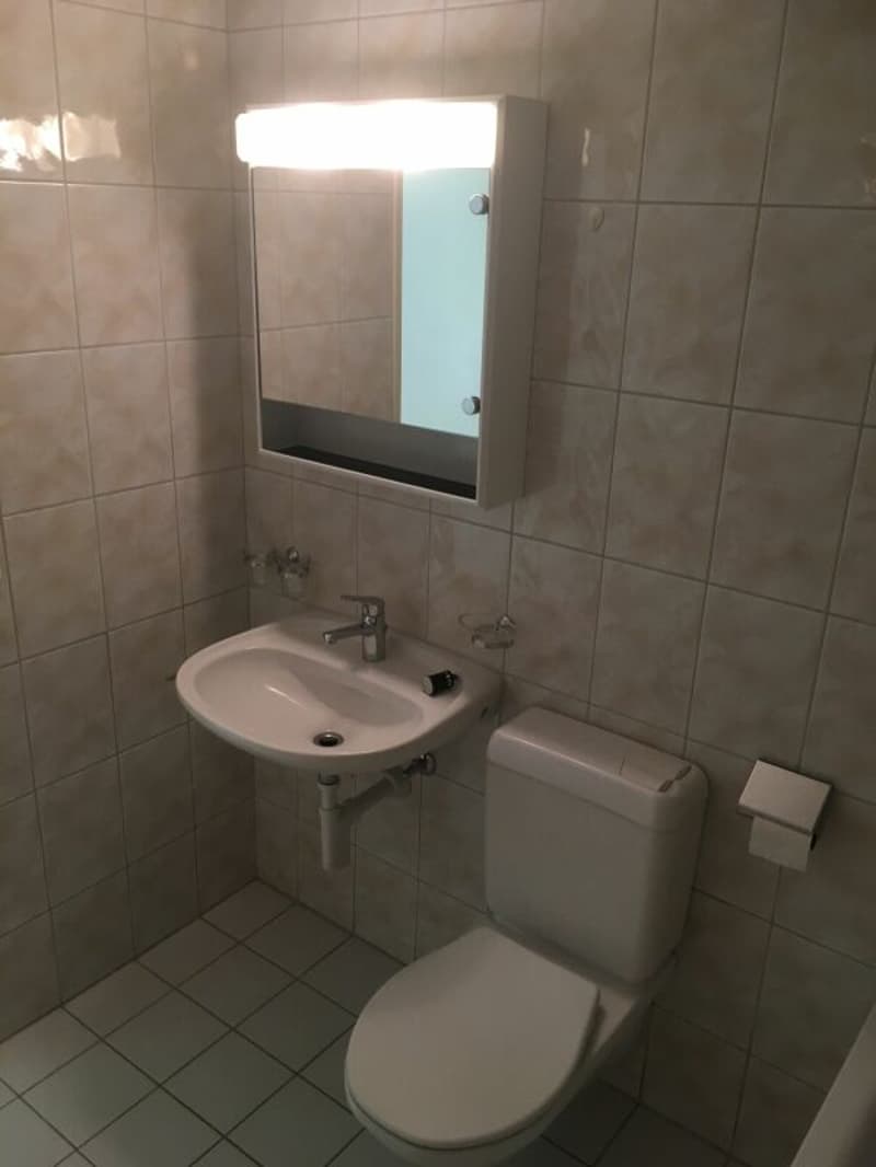 Gemütliche Wohnung mit sonnigem Balkon (6)