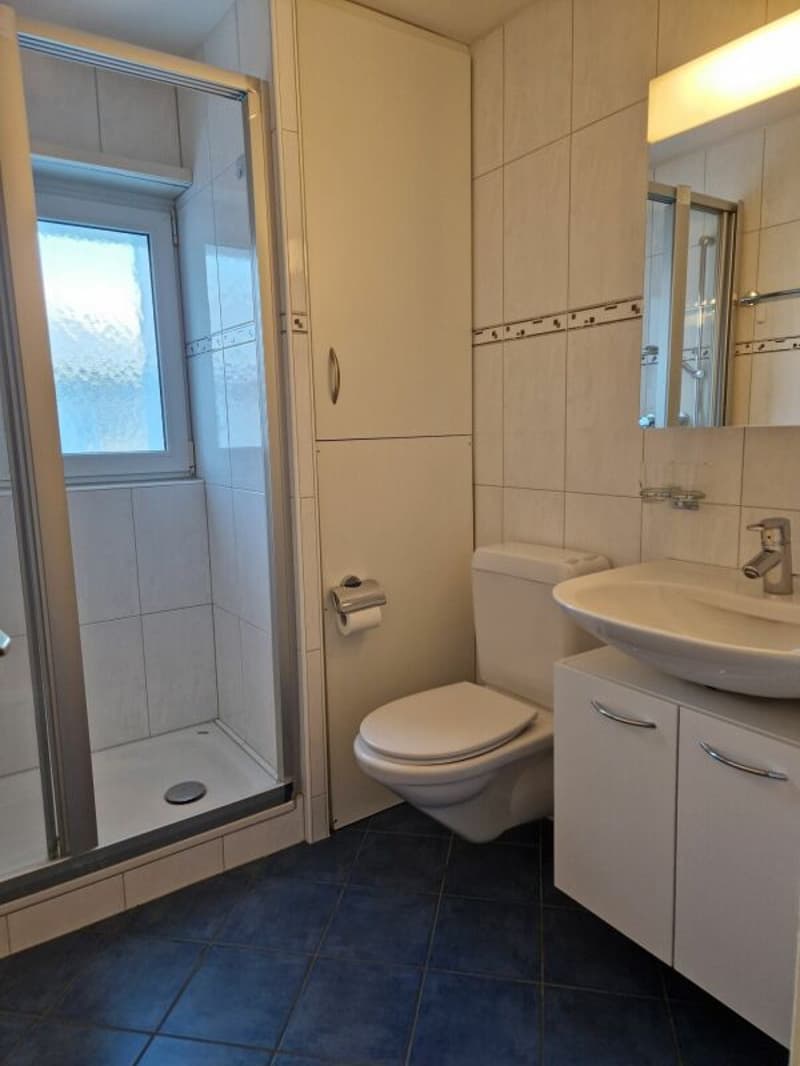 Ihr neues Zuhause mit Blick auf den Säntis! (4)