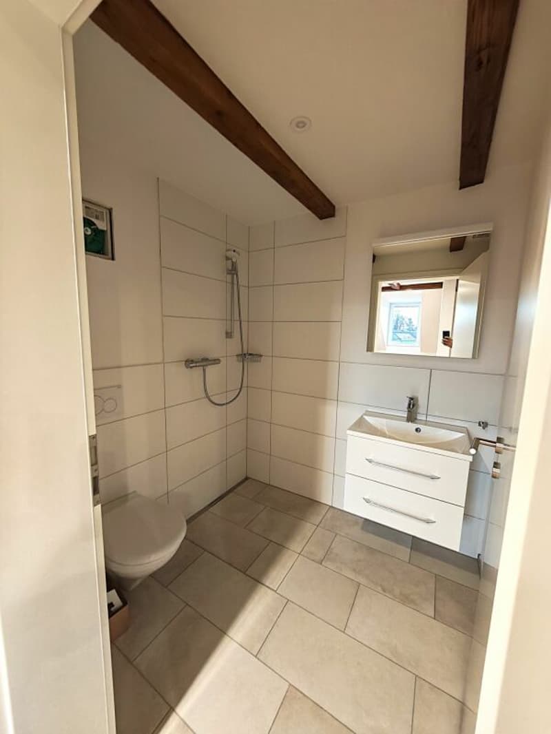 Frisch sanierte 3.5 Zi-Wohnung (3)