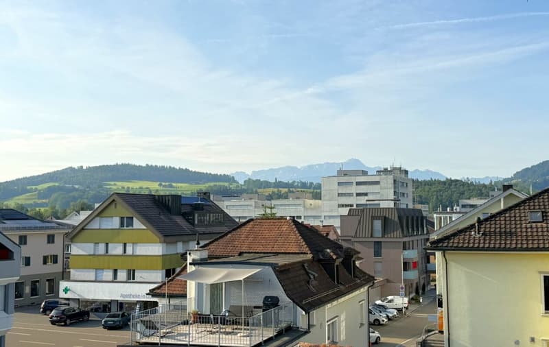 Blick auf den Säntis