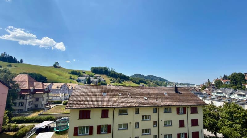 Schöne 4.5 Zimmer Wohnung (9)