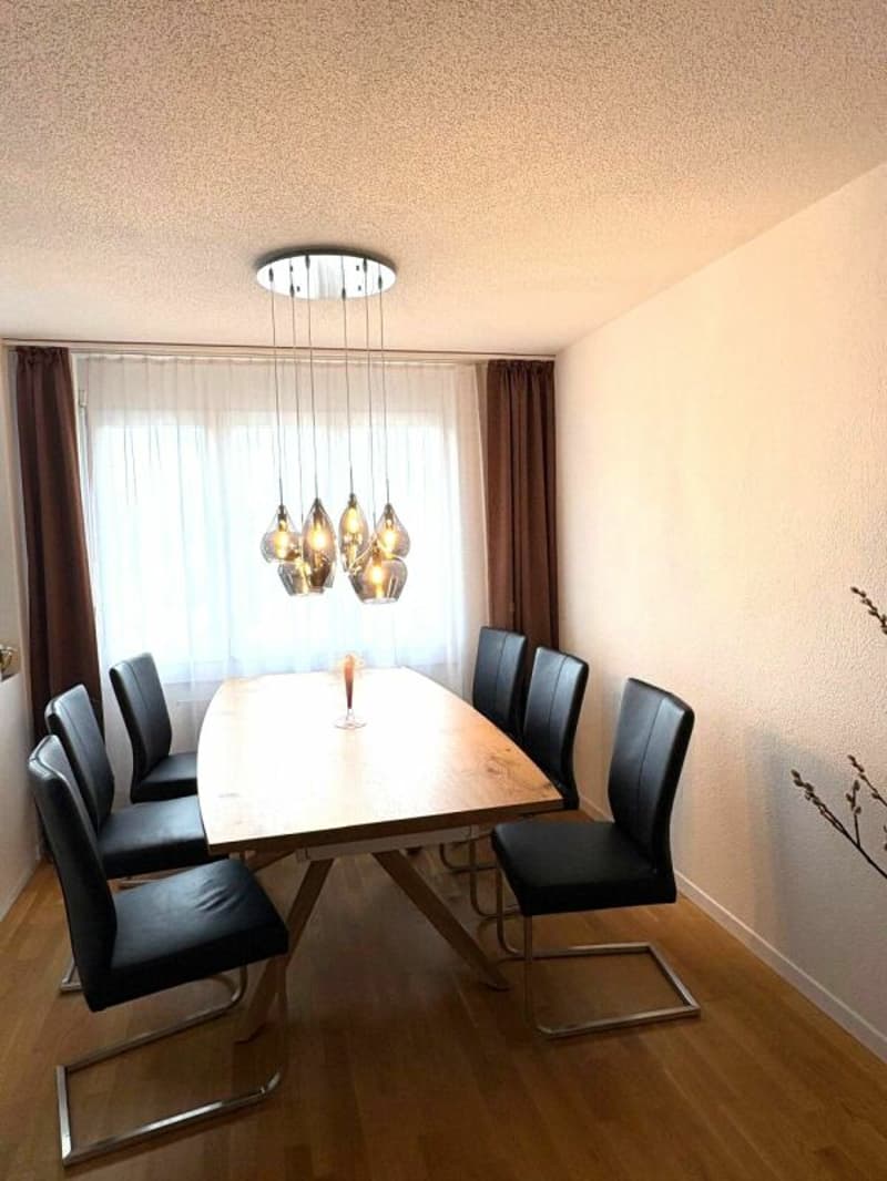 helle 4.5 Zimmer-Wohnung im Grünen (2)