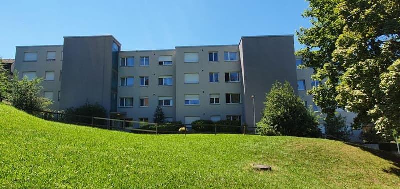 Gemütliche Wohnung sucht Single! (1)
