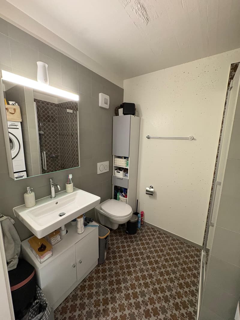 Bel appartement 2,5 pièces neuf à Crissier (6)