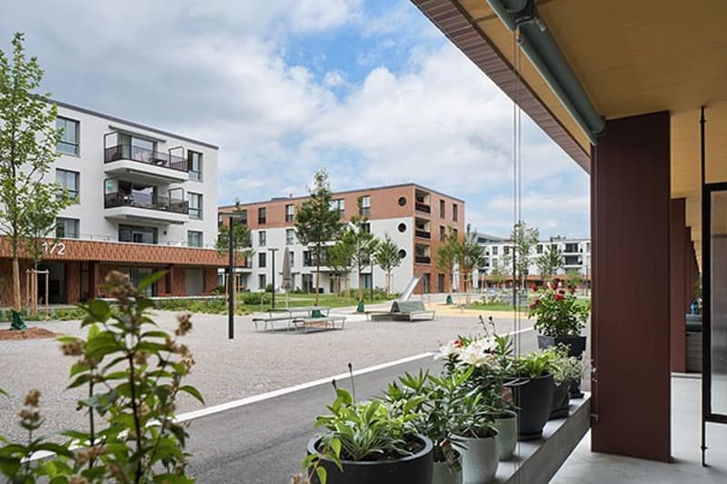 4.5-Zimmer-Subventionswohnung in Zürich-Oerlikon (2)