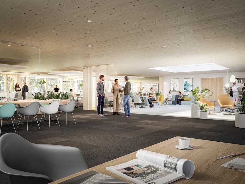 Individuell gestaltbare Gewerbeflächen ab ca. 385 m² –  Gewerbepark Neuhuus, (2)